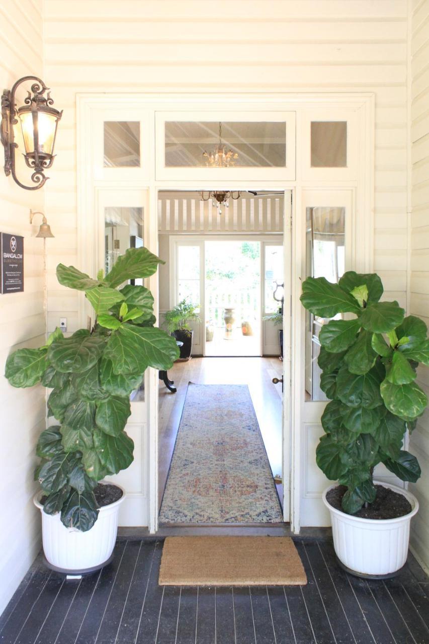 Bangalow Guesthouse エクステリア 写真
